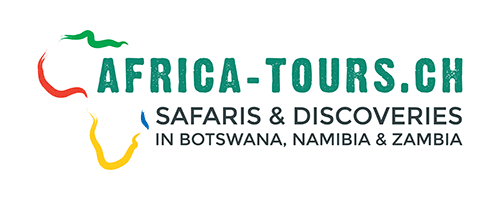 logo africa tours